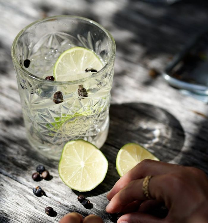 Lungaus Gentle Giant – Gin for Friends von Trausners - pur oder klassisch als Gin Tonic genießen